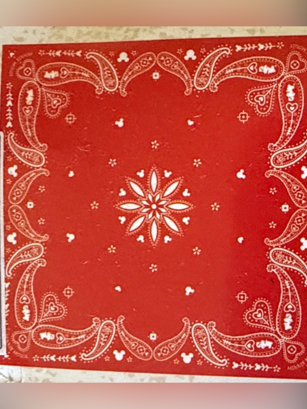 Red Bandana Minnie Mouse theme